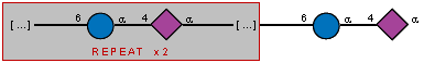 /aDGlcp(1-4)[Ac(1-5)]aXNeup(2-6)/n=2/aDGlcp(1-4)[Ac(1-5)]aXNeup