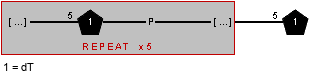 /xXnucdT(3-P-5)/n=5/xXnucdT