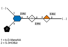 -3)[lS3HOBut(1-4),Ac(1-2)]aDQuipN4N(1-4)[Ac(1-2)]bDManpNA(1-4)[Ac(1-3)]bDGulpA(1-