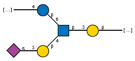 -4)bDGlcp(1-6)[Ac(1-5)aXNeup(2-3)bDGalp(1-4),Ac(1-2)]bDGlcpN(1-3)bDGalp(1-