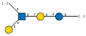-6)[bDGalp(1-4),Ac(1-2)]bDGlcpN(1-3)bDGalp(1-4)bDGlcp(1-