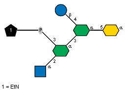 Ac(1-2)aDGlcpN(1-2)[xXEtN(1-P-3)]aXLDmanHepp(1-3)[bDGlcp(1-4)]aXLDmanHepp(1-5)aXKdop