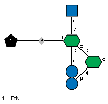 Ac(1-2)aDGlcpN(1-2)[xXEtN(1-P-6),aDGlcp(1-3)]aXLDmanHepp(1-3)[bDGlcp(1-4)]aXLDmanHepp