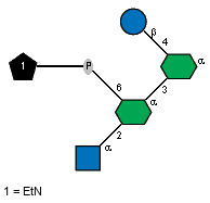 Ac(1-2)aDGlcpN(1-2)[xXEtN(1-P-6)]aXLDmanHepp(1-3)[bDGlcp(1-4)]aXLDmanHepp