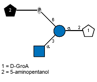 Ac(1-2)aDGlcpN(1-3)[Subst(1-P-6)]aDGlcp(1-2)lDGroA // Subst = 5-aminopentanol= SMILES NCCCC{1}CO