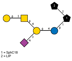 Ac(1-5)aXNeup(2-3)[bDGalp(1-3)[Ac(1-2)]bDGalpN(1-4)]bDGalp(1-4)bDGlcp(1-1)[LIP(1-2)]xXSphC18