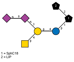 Ac(1-5)aXNeup(2-8)[Ac(1-5)]aXNeup(2-3)[Ac(1-2)bDGalpN(1-4)]bDGalp(1-4)bDGlcp(1-1)[LIP(1-2)]xXSphC18