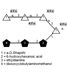 Fo(1-4)aDRhap4N(1-2)[Fo(1-4)]aDRhap4N(1-3)[Fo(1-4)]aDRhap4N(1-2)[Fo(1-4),Subst3(1-2)Subst2(1-2)Subst1(1-1)]aDRhap4N // Subst1 = 6-hydroxyhexanoic acid = SMILES O={2}C(O)CCCC{1}CO; Subst2 = ethyldiamine = SMILES {2}NCC{1}N; Subst3 = dioxocyclobutylaminomethanol = SMILES  NC1C(=O)C(=O){1}C1O