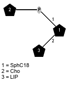 LIP(1-2)[xXCho(1-P-1)]xXSphC18 // LIP = 24:1