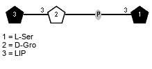 LIP(1-3)xDGro(1-P-3)xLSer