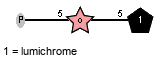 P-5)xDRib-ol(1-5)Subst // Subst = lumichrome = SMILES CC1=CC(N=C2C({2}N3)=O)=C(C=C1C){5}NC2=NC3=O