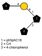 Subst(1-4)aDGalp(1-1)[lXCrt(1-2)]xXphSphC18 // Subst = 4-chlorophenol = SMILES O{1}c1ccc(Cl)cc1