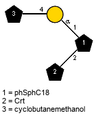 Subst(1-4)aDGalp(1-1)[lXCrt(1-2)]xXphSphC18 // Subst = cyclobutanemethanol  = SMILES C1CC(C1){1}CO