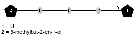 Subst(1-P-P-P-5)xXnucU // Subst = 3-methylbut-2-en-1-ol = SMILES C/C(C)=C/{1}CO