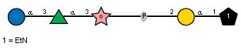 aDGlcp(1-3)aLRhap(1-3)xDRib-ol(5-P-2)aDGalp(1-1)xXEtN