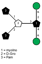 aDManp(1-2)[aDManp(1-4),lXPam(1-1)[lXPam(1-2)]xDGro(3-3)]xXmyoIno