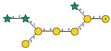 aLAraf(1-2)[aLAraf(1-5)aLAraf(1-2)[bDGalp(1-6)]bDGalp(1-6)bDGalp(1-6)bDGalp(1-6)]bDGalp(1-6)xDGala