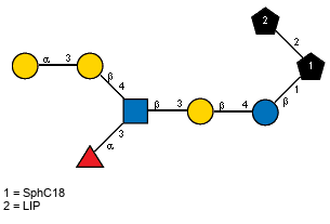 aLFucp(1-3)[aDGalp(1-3)bDGalp(1-4),Ac(1-2)]bDGlcpN(1-3)bDGalp(1-4)bDGlcp(1-1)[LIP(1-2)]xXSphC18