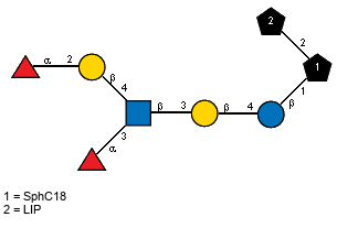 aLFucp(1-3)[aLFucp(1-2)bDGalp(1-4),Ac(1-2)]bDGlcpN(1-3)bDGalp(1-4)bDGlcp(1-1)[LIP(1-2)]xXSphC18