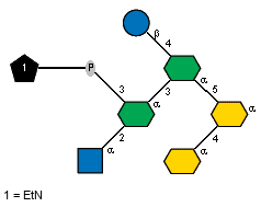 aXKdop(2-4)[Ac(1-2)aDGlcpN(1-2)[xXEtN(1-P-3)]aXLDmanHepp(1-3)[bDGlcp(1-4)]aXLDmanHepp(1-5)]aXKdop