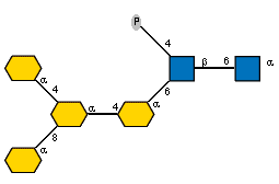 aXKdop(2-4)[aXKdop(2-8)]aXKdop(2-4)aXKdop(2-6)[P-4),Ac(1-2)]bDGlcpN(1-6)[Ac(1-2)]aDGlcpN