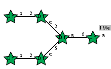 bDAraf(1-2)aDAraf(1-3)[bDAraf(1-2)aDAraf(1-5)]aDAraf(1-5)[Me(1-1)]aDAraf
