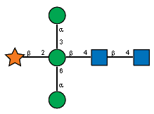 bDXylp(1-2)[aDManp(1-6),aDManp(1-3)]bDManp(1-4)[Ac(1-2)]bDGlcpN(1-4)[Ac(1-2)]?DGlcpN