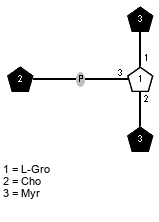 lXMyr(1-1)[xXCho(1-P-3),lXMyr(1-2)]xLGro