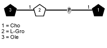 lXOle(1-1)xLGro(3-P-1)xXCho