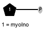 xXmyoIno(3-P