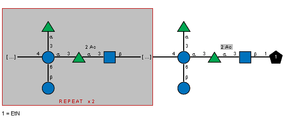 /[bDGlcp(1-6),aLRhap(1-3)]aDGlcp(1-3)[Ac(1-2)]aLRhap(1-3)[Ac(1-2)]bDGlcpN(1-4)/n=2/[bDGlcp(1-6),aLRhap(1-3)]aDGlcp(1-3)[Ac(1-2)]aLRhap(1-3)[Ac(1-2)]bDGlcpN(1-1)xXEtN