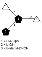 ?DQuipN(2-5)[Subst(1-2)]xLGln(1-2)?DQuipN // Subst = b-alanyl-DNCP = SMILES {1}C(=O)(O)CCNc1c(C(=O)O)cc(N(=O)=O)cc1N(=O)=O