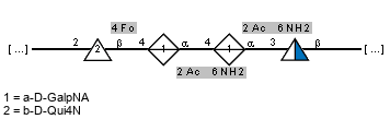-2)[Fo(1-4)]bDQui4N(1-4)[NH2(1-6),Ac(1-2)]aDGalpNA(1-4)[NH2(1-6),Ac(1-2)]aDGalpNA(1-3)[Ac(1-2)]bDQuipN(1-