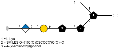 -2)[S-3)bDGlcpA(1-3)bDGalp(1-1)Subst(8-7)Subst2(1-6)]xLLys(1- // Subst = 4-(2-aminoethyl)phenol = SMILES O{1}C1=CC=C(C{8}CN)C=C1; Subst2 = SMILES O={1}C(O)CSCCC{7}C(O)=O