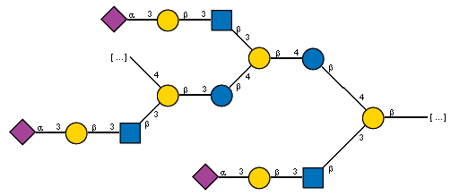 -4)[Ac(1-5)aXNeup(2-3)bDGalp(1-3)[Ac(1-2)]bDGlcpN(1-3)]bDGalp(1-3)bDGlcp(1-4)[Ac(1-5)aXNeup(2-3)bDGalp(1-3)[Ac(1-2)]bDGlcpN(1-3)]bDGalp(1-4)bDGlcp(1-4)[Ac(1-5)aXNeup(2-3)bDGalp(1-3)[Ac(1-2)]bDGlcpN(1-3)]bDGalp(1-