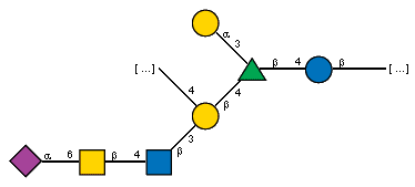 -4)[Ac(1-5)aXNeup(2-6)[Ac(1-2)]bDGalpN(1-4)[Ac(1-2)]bDGlcpN(1-3)]bDGalp(1-4)[aDGalp(1-3)]bLRhap(1-4)bDGlcp(1-