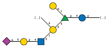 -4)[Ac(1-5)aXNeup(2-6)bDGalp(1-4)[Ac(1-2)]bDGlcpN(1-3)]bDGalp(1-4)[aDGalp(1-3)]bLRhap(1-4)bDGlcp(1-