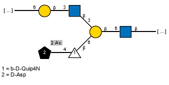 -6)bDGalp(1-3)[Ac(1-2)]bDGlcpN(1-3)[Ac(1-2)xDAsp?(1-4)bDQuip4N(1-6)]bDGalp(1-6)[Ac(1-2)]bDGlcpN(1-
