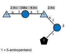 Ac(1-2)[Ac(1-4),Me(1-3)]aL6dTalp(1-3)bDGlcp(1-3)[Ac(1-2)]aL6dTalp(1-3)[Subst(1-1)]bDGlcp // Subst = 5-aminopentanol= SMILES NCCCCC{1}O