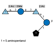 Ac(1-2)[Me(1-3)]aL6dTalp(1-3)bDGlcp(1-3)[Ac(1-2)]aL6dTalp(1-3)[Subst(1-1)]bDGlcp // Subst = 5-aminopentanol= SMILES NCCCCC{1}O