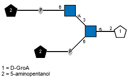 Ac(1-2)[Subst(1-P-6)]aDGlcpN(1-3)[Subst(1-P-6),Ac(1-2)]aDGlcpN(1-2)lDGroA // Subst = 5-aminopentanol= SMILES NCCCC{1}CO