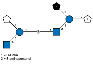 Ac(1-2)[lDGroA(2-1)[Ac(1-2)aDGlcpN(1-3)]aDGlcp(6-P-6)]aDGlcpN(1-3)[Subst(1-6)]aDGlcp(1-2)lDGroA // Subst = 5-aminopentanol= SMILES NCCCC{1}CO
