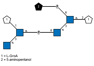 Ac(1-2)[lLGroA(2-1)[Ac(1-2)aDGlcpN(1-3),Ac(1-2)]aDGlcpN(6-P-6)]aDGlcpN(1-3)[Subst(1-P-6),Ac(1-2)]aDGlcpN(1-2)lLGroA // Subst = 5-aminopentanol = SMILES NCCCC{1}CO