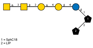 Ac(1-2)aDGalpN(1-3)[Ac(1-2)]bDGalpN(1-3)aDGalp(1-4)bDGalp(1-4)bDGlcp(1-1)[LIP(1-2)]xXSphC18
