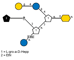 Ac(1-2)aDGlcp(1-2)[xXEtN(1-P-3)]aXLDHepp(1-3)[bDGalp(1-4)bDGlcp(1-4)]aXLDHepp(1-5)aXKdop
