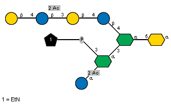 Ac(1-2)aDGlcp(1-2)[xXEtN(1-P-3)]aXLDmanHepp(1-3)[bDGalp(1-4)[Ac(1-2)]bDGlcp(1-3)bDGalp(1-4)bDGlcp(1-4)]aXLDmanHepp(1-5)aXKdop