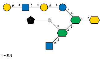 Ac(1-2)aDGlcpN(1-2)[xXEtN(1-P-3)]aXLDmanHepp(1-3)[bDGalp(1-4)[Ac(1-2)]bDGlcpN(1-3)bDGalp(1-4)bDGlcp(1-4)]aXLDmanHepp(1-5)?XKdop