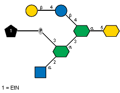 Ac(1-2)aDGlcpN(1-2)[xXEtN(1-P-3)]aXLDmanHepp(1-3)[bDGalp(1-4)bDGlcp(1-4)]aXLDmanHepp(1-5)?XKdop