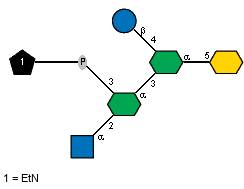 Ac(1-2)aDGlcpN(1-2)[xXEtN(1-P-3)]aXLDmanHepp(1-3)[bDGlcp(1-4)]aXLDmanHepp(1-5)?XKdop