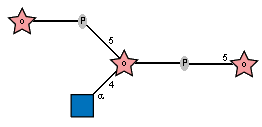 Ac(1-2)aDGlcpN(1-4)[xDRib-ol(1-P-5)]xDRib-ol(1-P-5)xDRib-ol